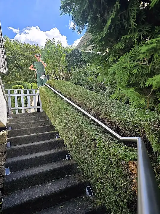 Exakt geschnittene Hecke entlang einer Außentreppe mit Edelstahl-Handlauf