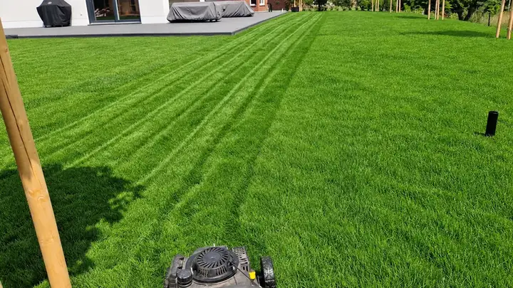 Frisch gemähte Rasenfläche mit Mähstreifen, vorn der Rasenmäher, links ein Baumpfahl, hinten eine Terrasse