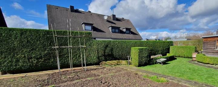Garten mit hoher Hecke, Formheckenblöcken, Rasen und frisch umgegrabenem Beet mit Rankgerüst