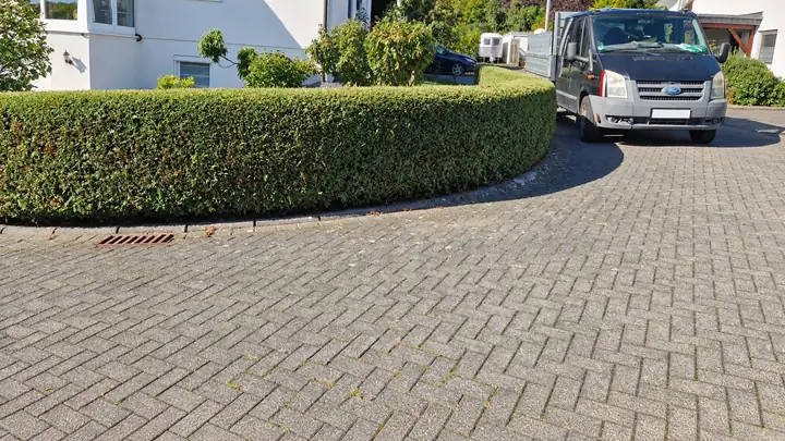 Geschwungene, gleichmäßig geschnittene Hecke entlang einer gepflasterten Hoffläche vor einem hellen Wohnhaus