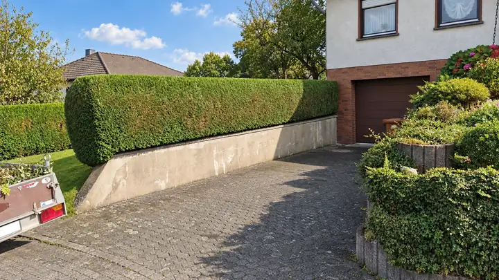 Lange, kastenförmig geschnittene Hecke auf einer Betonmauer an einer gepflasterten Einfahrt