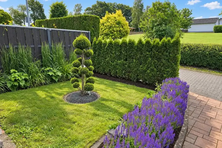 Rasen mit Formgehölz im Kiesrund, geschnittener Hecke und violett blühendem Beet neben Pflaster